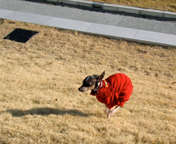 c0067449_20175042.jpg