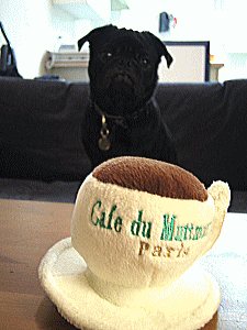 b0035453_19101290.gif