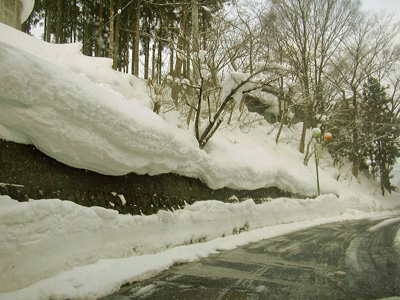 a0001354_2051735.jpg
