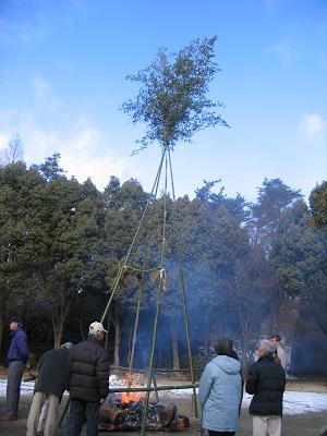 e0031568_15524568.jpg
