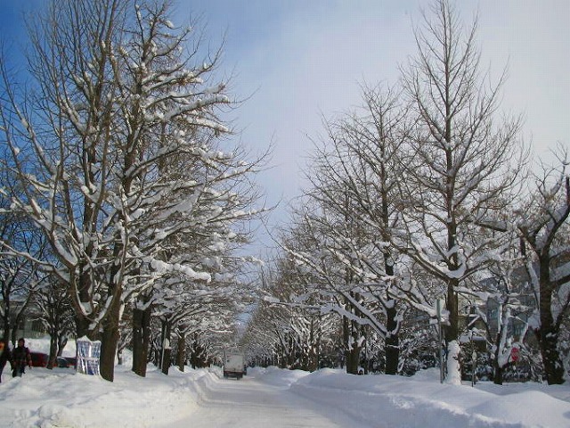 f0028773_17322773.jpg