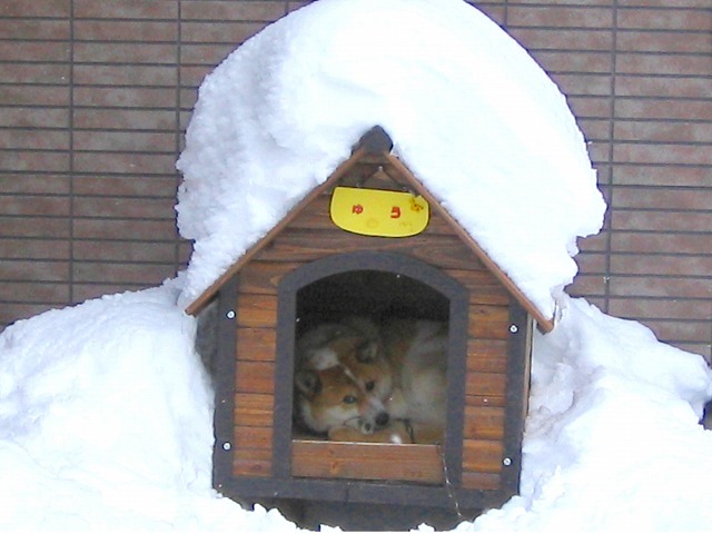 f0028773_1745175.jpg
