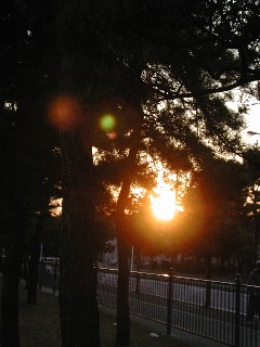 c0030675_1755143.jpg