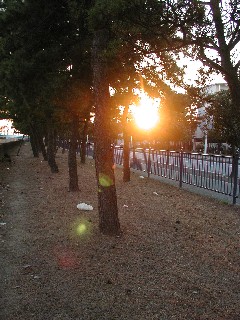 c0030675_1755493.jpg