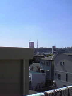 c0052689_673659.jpg