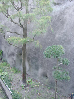 f0038892_2241110.jpg
