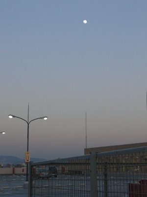 a0031000_20402746.jpg
