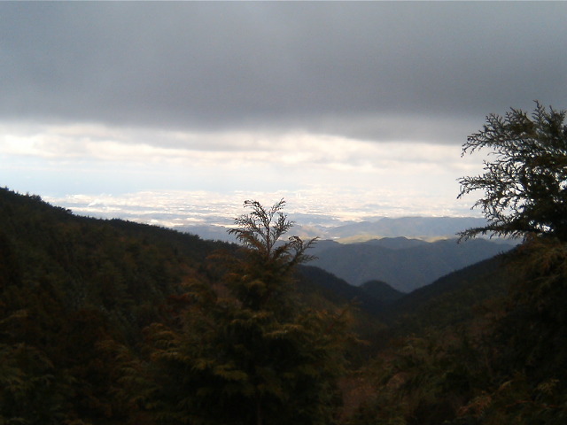 b0049102_17141973.jpg