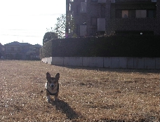 e0071225_23255282.jpg