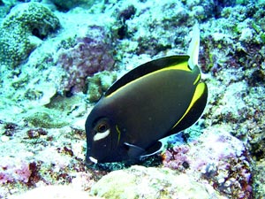 b0044726_9471224.jpg