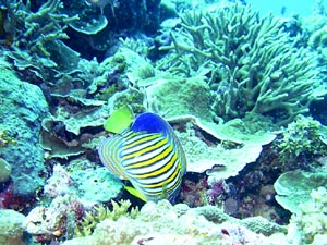 b0044726_9474412.jpg