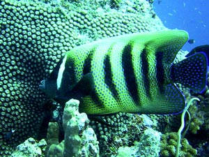b0044726_9565033.jpg