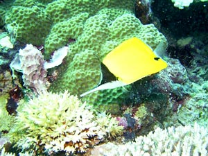 b0044726_9581655.jpg