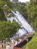 b0009228_1628962.jpg