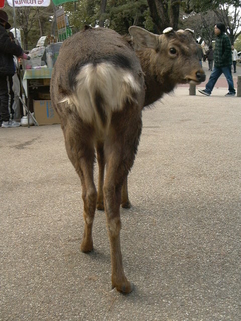 c0073633_21251884.jpg