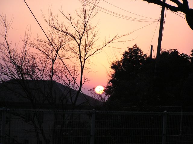c0042869_224195.jpg