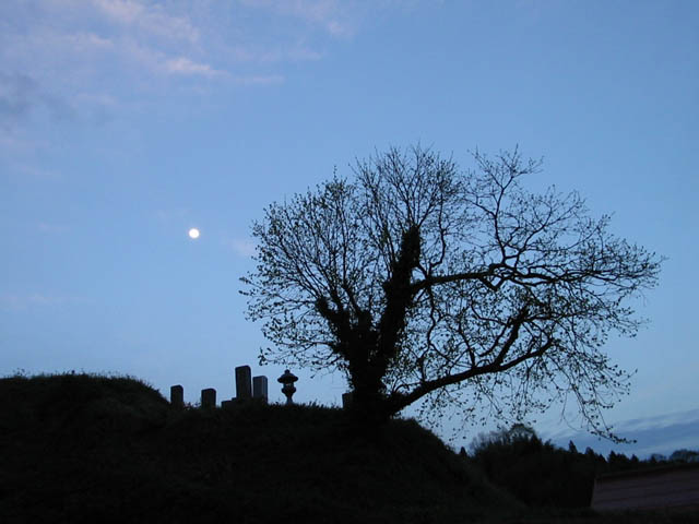 e0052074_1313460.jpg