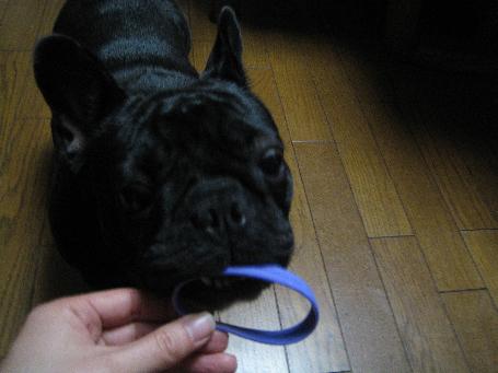 c0062287_2225169.jpg
