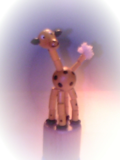 e0001693_10311621.jpg