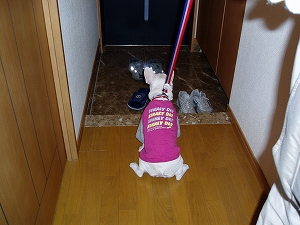 e0066099_0553624.jpg