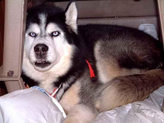 e0001110_7362910.jpg
