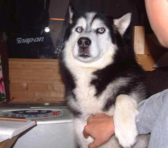 e0001110_7383155.jpg