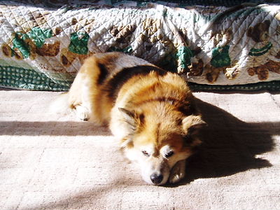c0029913_3293978.jpg