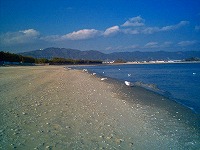 e0075015_7551198.jpg