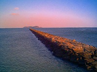 e0075015_84996.jpg