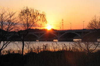 f0035016_14573037.jpg