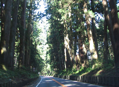 f0035016_1628265.jpg