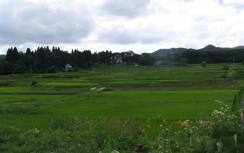 f0035016_17404547.jpg