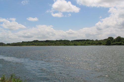 f0035016_17421190.jpg