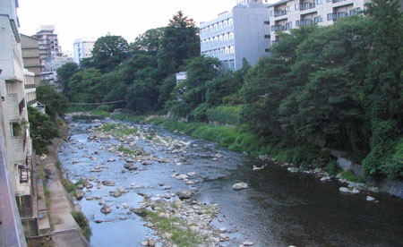 f0035016_1752142.jpg