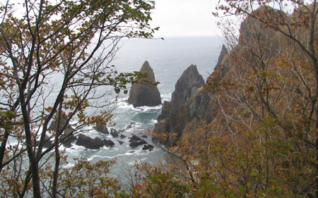 f0035016_1840368.jpg
