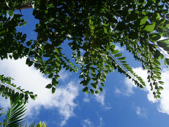 e0064227_17301546.jpg