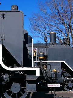 b0009029_1635345.jpg