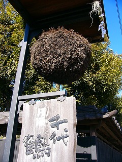 b0009029_165545.jpg