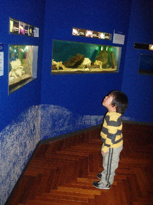 e0065031_928185.jpg
