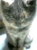 d0069233_0431873.jpg