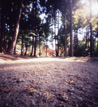 e0086642_8532568.jpg
