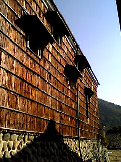 c0069552_10513691.jpg