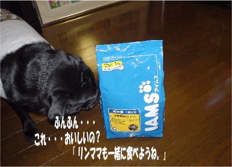 f0014371_19362124.gif