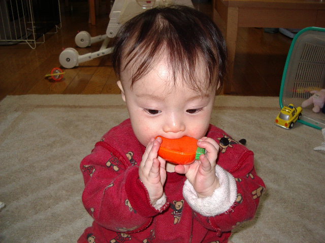 e0089272_11251618.jpg