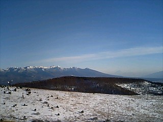 b0010882_112183.jpg