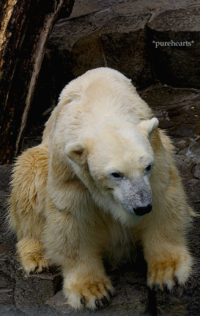 c0052787_22274614.jpg