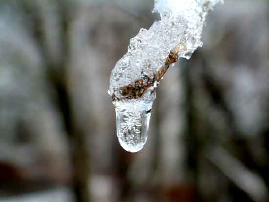 e0001110_743408.jpg