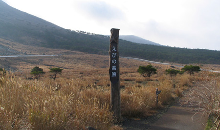 f0035016_15314549.jpg