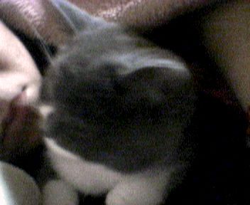 f0032020_2052253.jpg