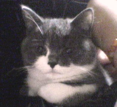 f0032020_20524219.jpg